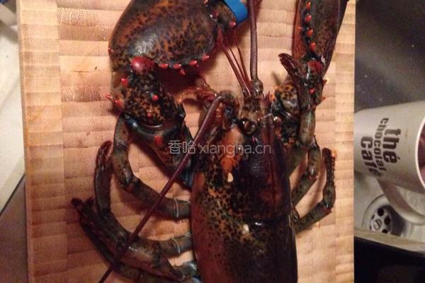 龙虾意面的做法图解1