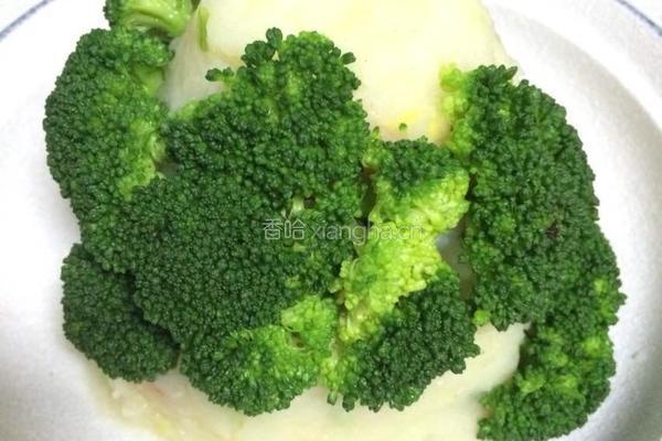 圣诞土豆泥色拉的做法图解4