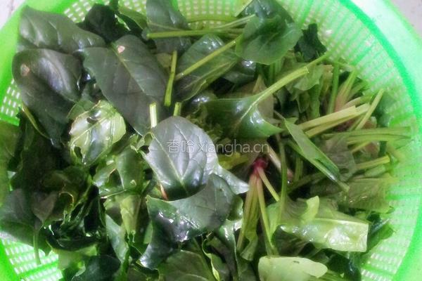 菠菜炒鸡胗的做法图解2