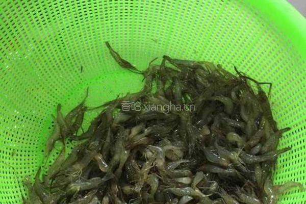 鲜虾面的做法图解2