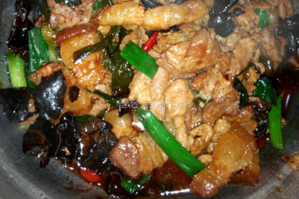 香辣猪肉炒木耳