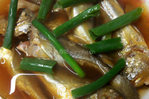 小黄鱼