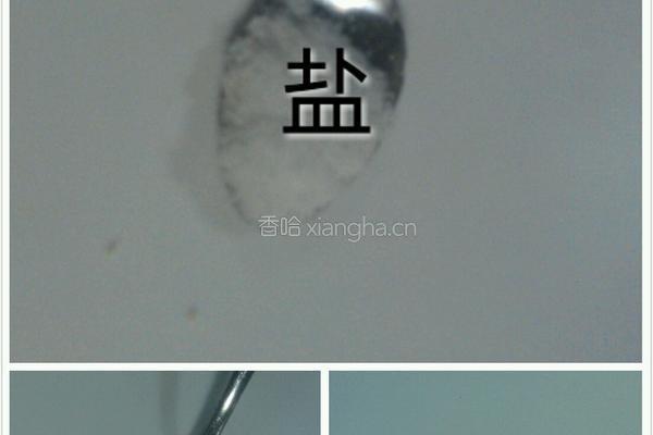 羊肉火锅的做法图解4