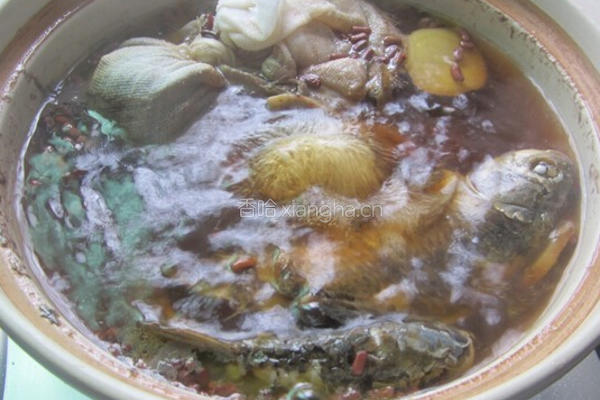 绵茵陈鲫鱼汤的做法图解9