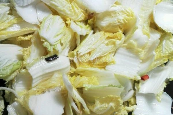 醋白菜的做法图解5