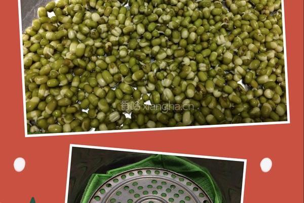 绿豆芽的做法图解3