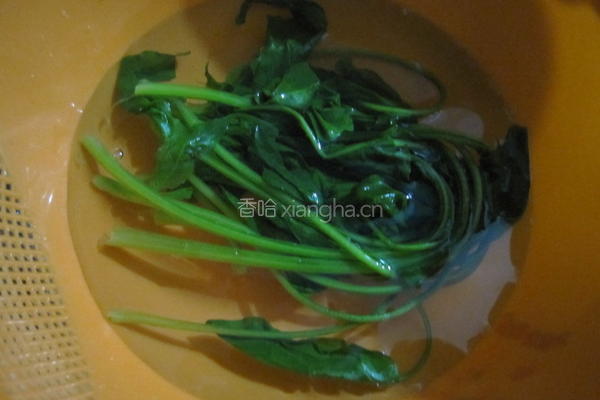 菠菜鱼丸疙瘩汤的做法图解3