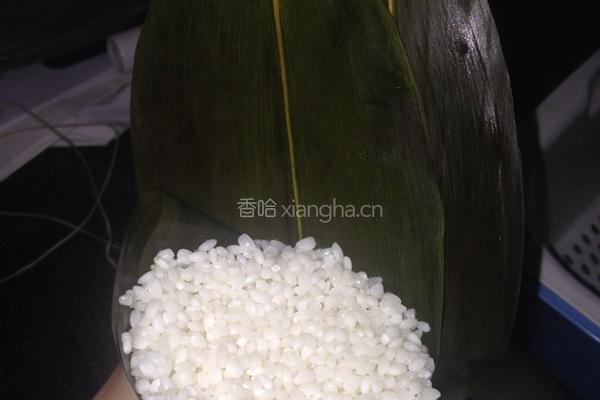 香甜蜜枣粽的做法图解4