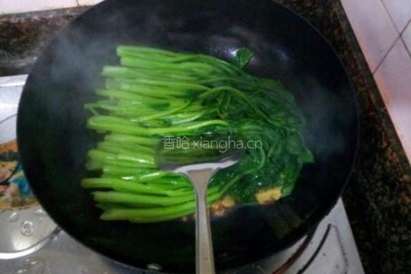蚝油菜心的做法图解5