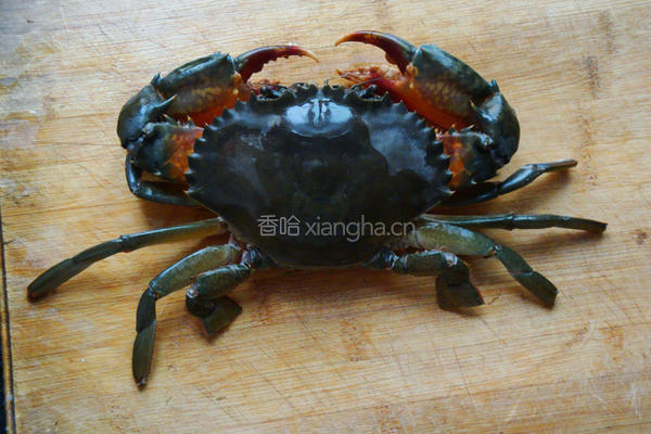 ＜鲁菜＞酱炒青蟹的做法图解2