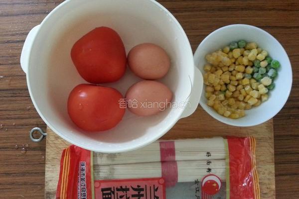 西红柿鸡蛋拌面的做法图解1