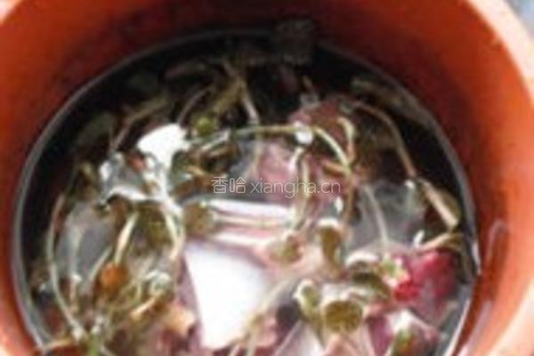 金线莲炖鸭肫的做法图解2