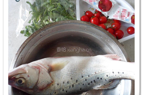 茄汁鲈鱼面的做法图解1