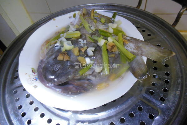 蝴蝶鳕鱼的做法图解8
