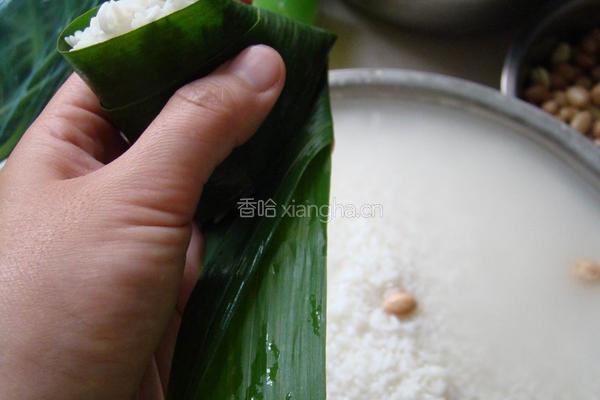 蜜枣粽子的做法图解9