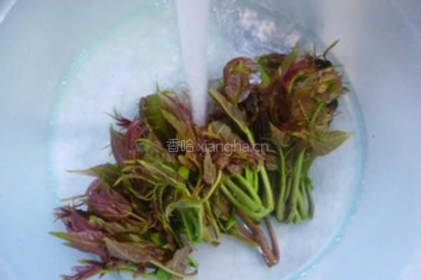 香干拌香椿的做法图解2