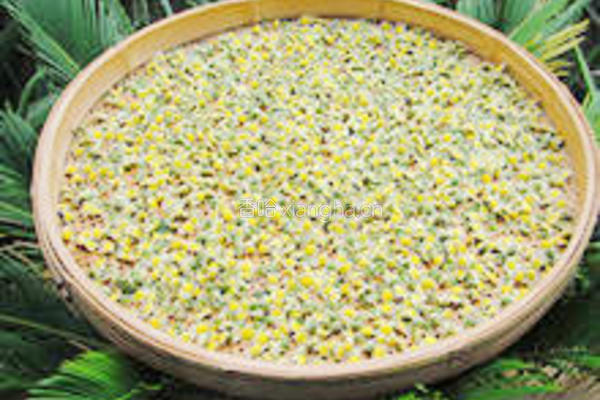 明目菊花茶的做法图解6