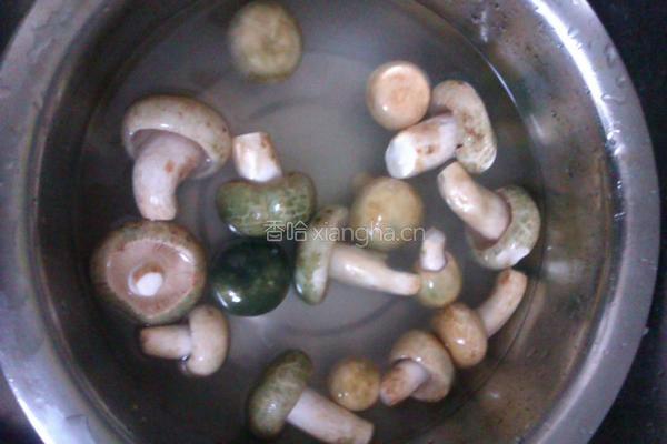 青头菌酿肉的做法图解1