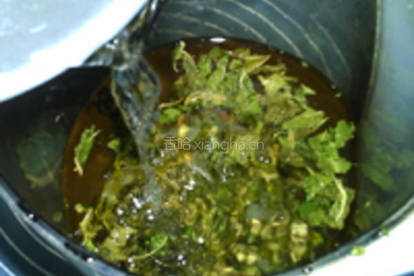 绿桑百合豆浆的做法图解5