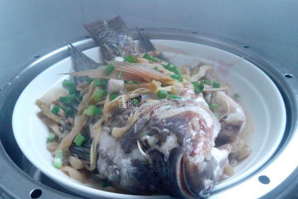 榨菜蒸非洲鲫鱼的做法图解4