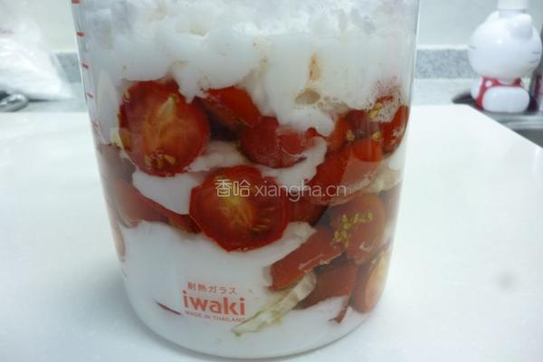 小西红柿酵素的做法图解5
