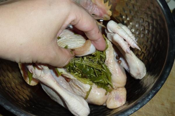 龙井茶香鸡的做法图解4