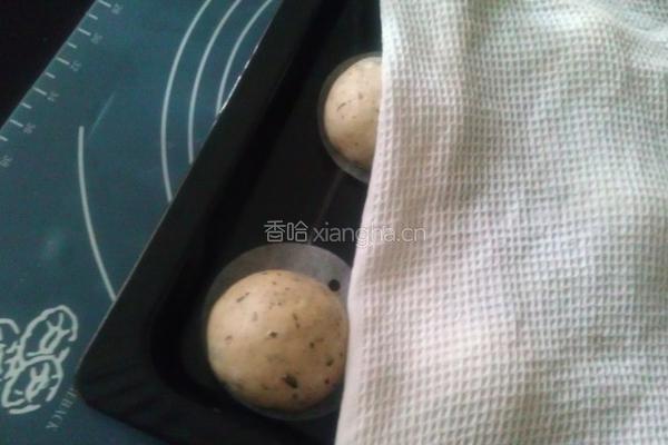 意式欧芹橄榄面包的做法图解4