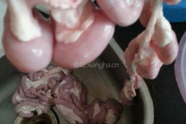 青橄榄炖猪粉肠的做法图解2
