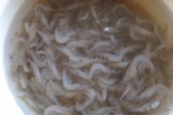 蒜香江虾的做法图解1