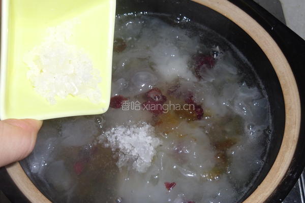 雪莲子桃花泪的做法图解7