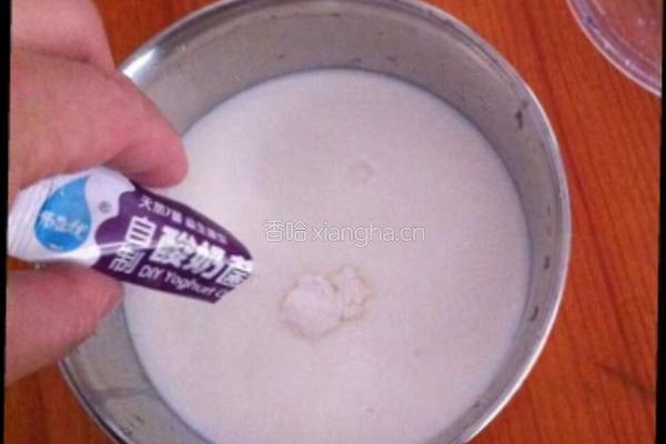 自制酸奶的做法图解4