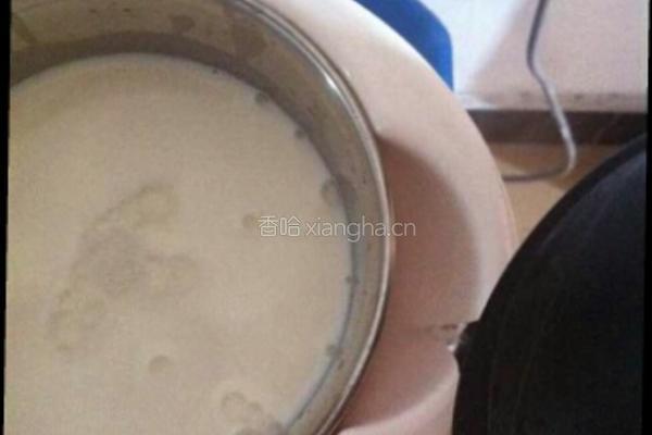 自制酸奶的做法图解6