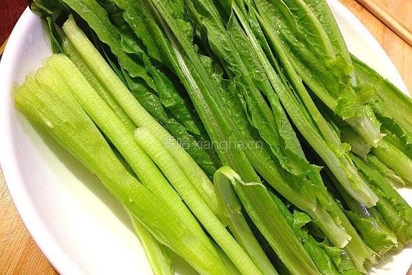 豆鼓鲮鱼油麦菜的做法图解2
