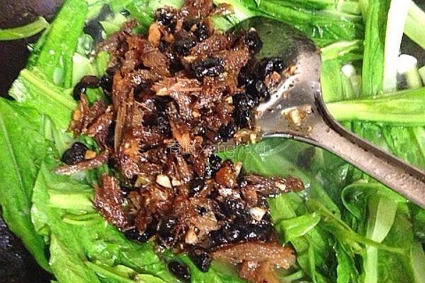 豆鼓鲮鱼油麦菜的做法图解10