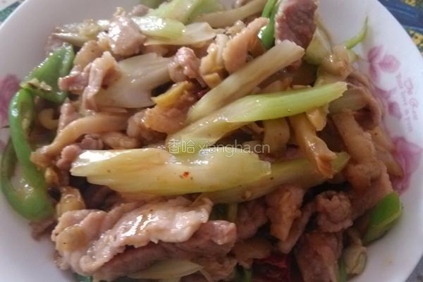 榨菜肉丝
