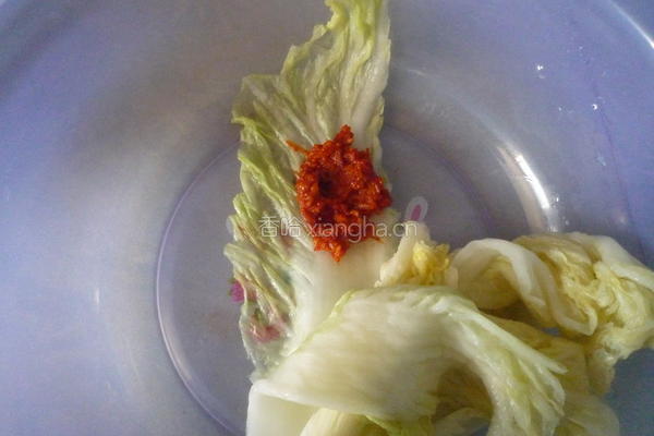 自制辣白菜的做法图解10