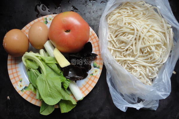 西红柿鸡蛋面的做法图解1