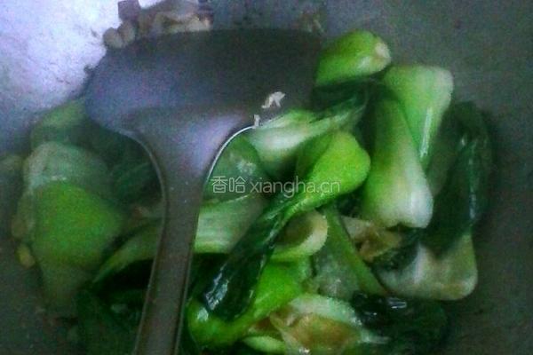 耗油油菜的做法图解5