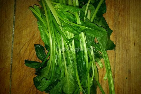 菠菜团的做法图解1