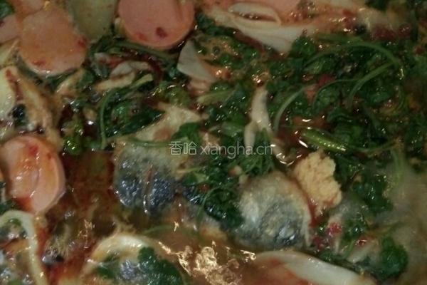 豆瓣鲫鱼的做法图解4
