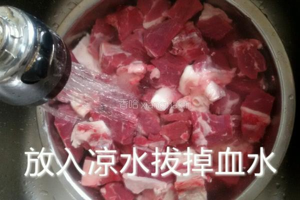 砂锅炖牛肉的做法图解3