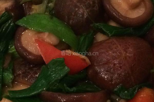 蚝油香菇的做法图解6