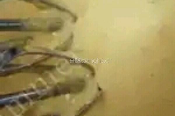 蓝莓芝士蛋糕的做法图解4