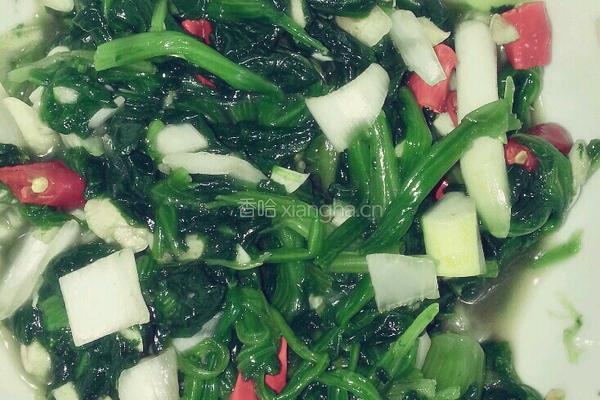 凉拌菠菜的做法图解4