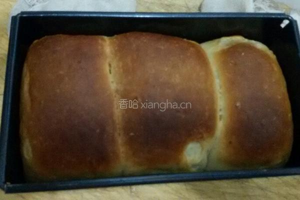 土司牛奶面包的做法图解10