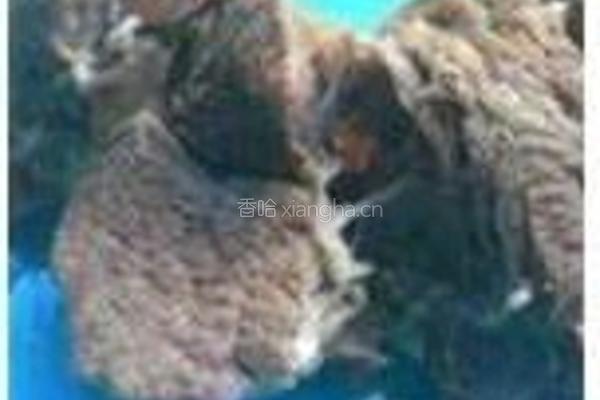 灯影牛肉丝的做法图解2