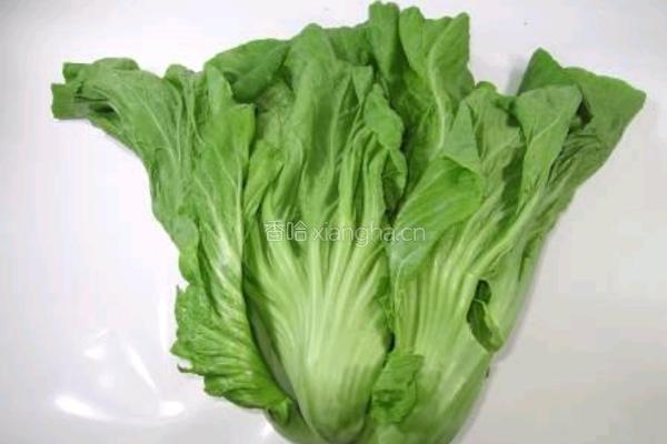 腌制酸菜的做法图解2