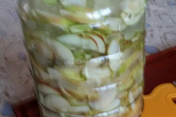 苹果醋做法的做法图解7