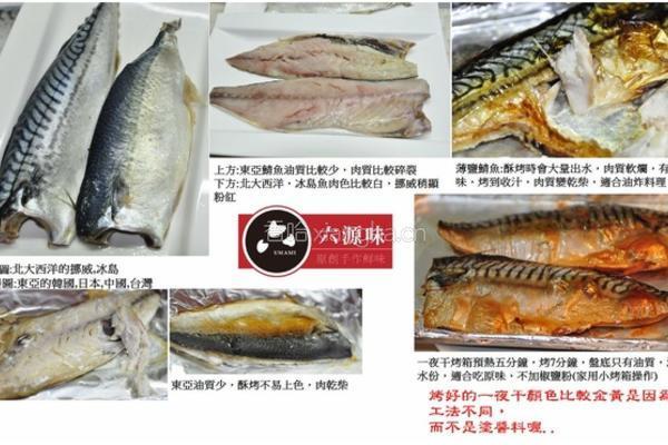 茄汁鲭鱼一夜干的做法图解4