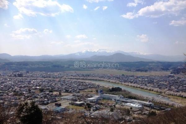 樱花满开草莓饼干的做法图解1